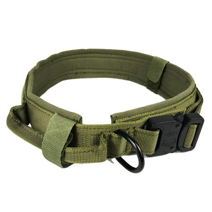 Dog collar 14231118463