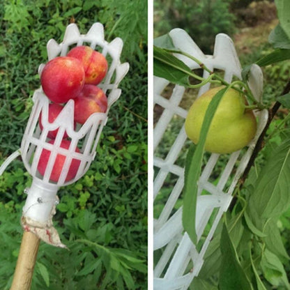 High-altitude fruit picker 1425715182239