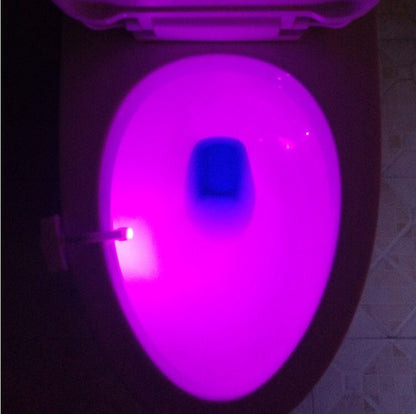 Toilet Induction LED Night Light 1447754579390