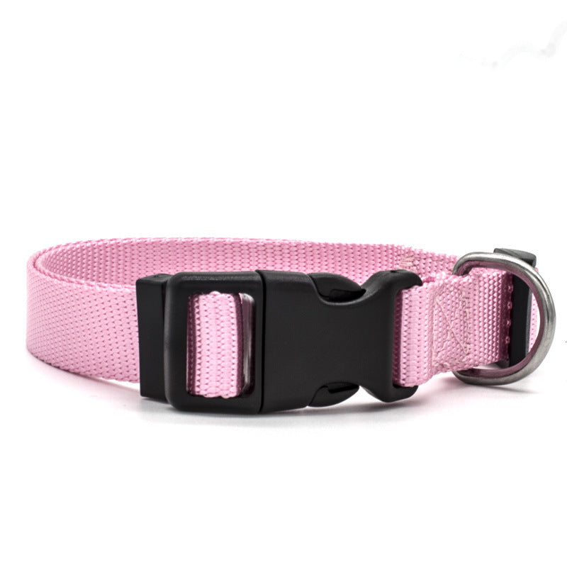 New Pet Collar 1450666173449