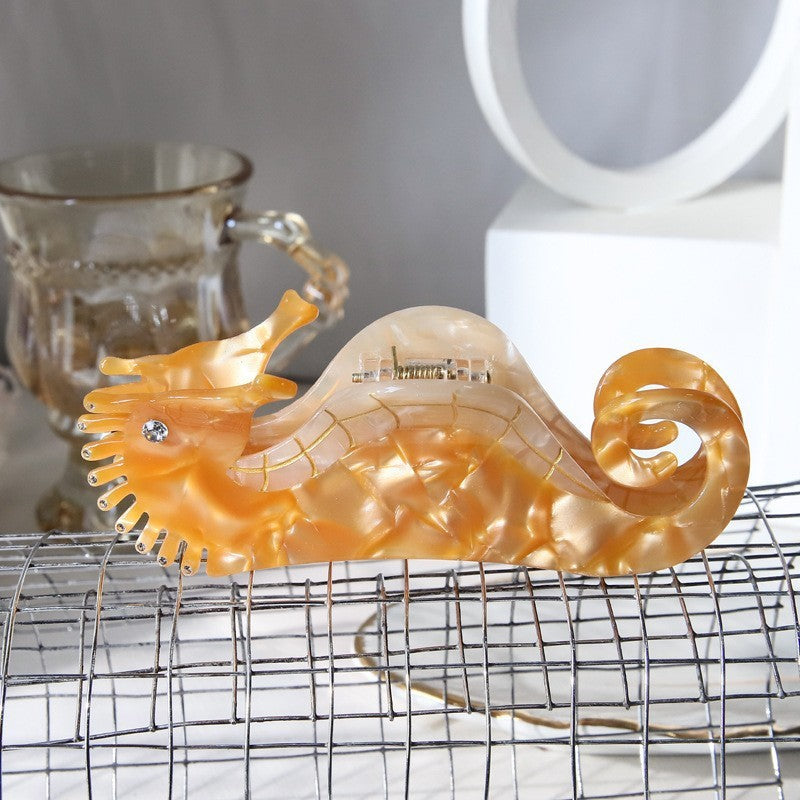 Hair Accessories Seahorse Head Acetate Clip Exquisite 147f2089 550e 41e3 9b7c 480911bb810a