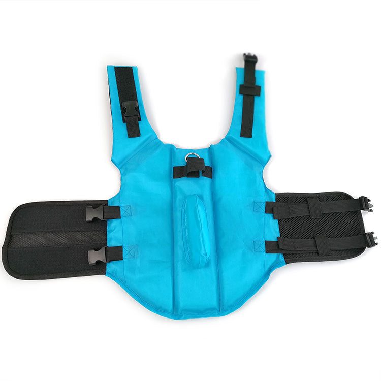 Large and small dog tide brand pet swimsuit 1495500423902