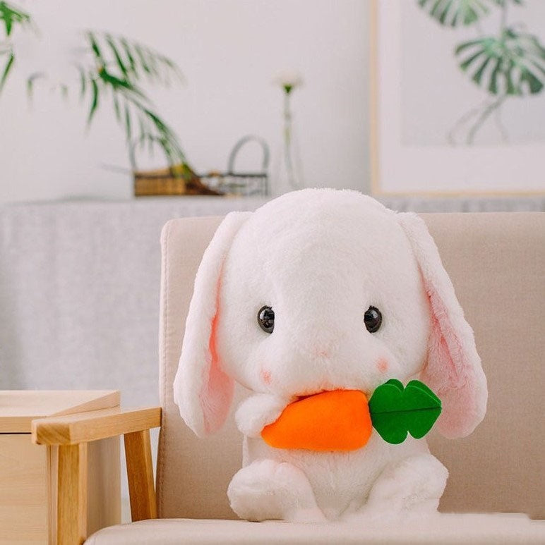 Long-eared lop-eared rabbit 1496812737310