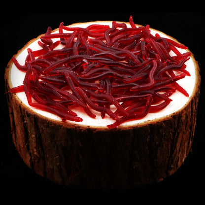 Soft Redworm Fake Bait 3.5cm Bulk Fishy Simulation Soft 14992915 3035 4cbd bfac aaea95403874