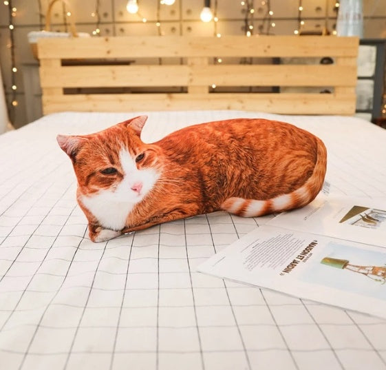 Simulation cat pillow cute cat doll plush toy stereo pet doll 1520441195690