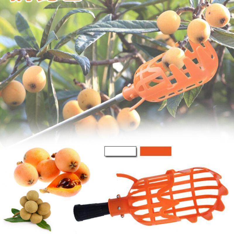 High-altitude fruit picker 1522633983870