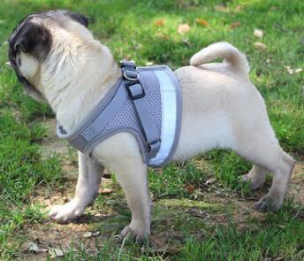 Dog Harness And Leash Set 1533544973208 2