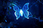 Led Solar Garden Light, Changing Color In The Water Impermeable Outer Dragonfly Butterfly  Bird Road To Garden Solar Led Lawn