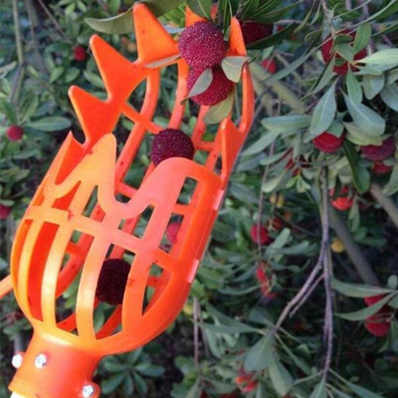 High-altitude fruit picker 1568600223196