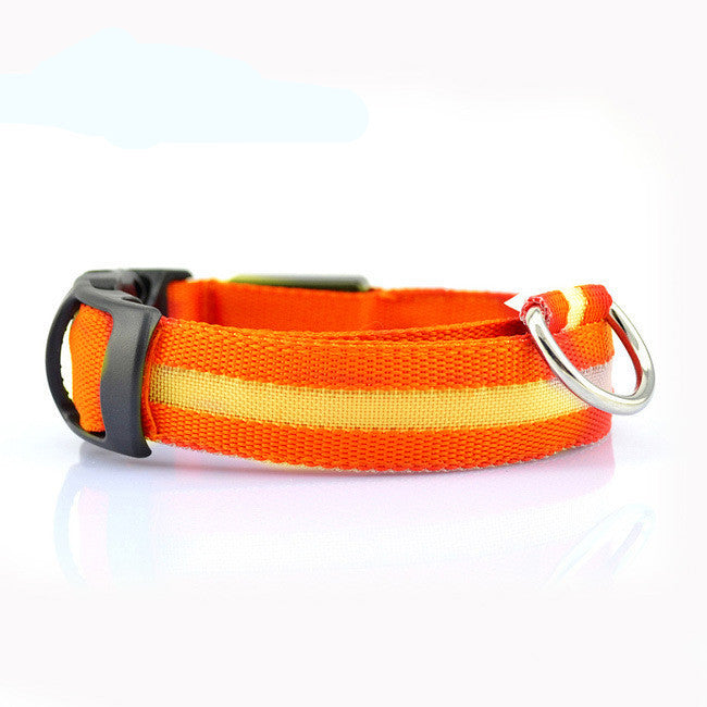 Safety Dog LED Collar 1575169108820