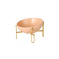 Pet bowl pet supplies 1609851124979