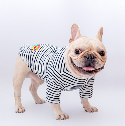 Cotton Stretch Corduroy Four-Legged Shirt 1612249487361