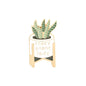 Cartoon Plant Potted Alloy Letter Brooch 1614063605547