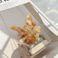 Butterfly Clip All-Match Super Beautiful Colorful Hair Clip Girl Hair Clip 1614156003236