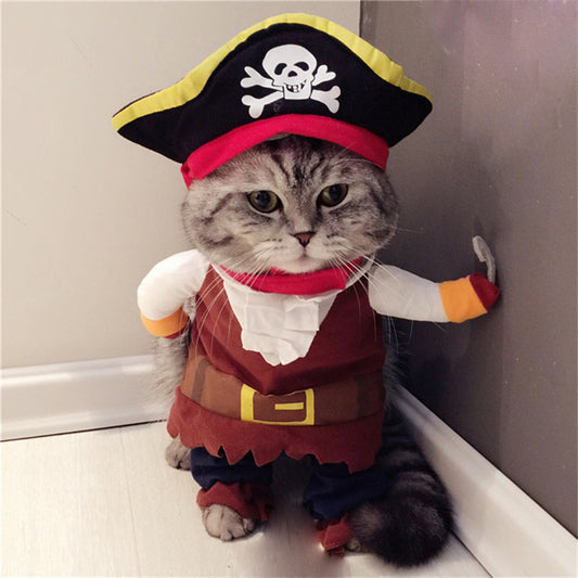 Teddy Pirate Transformed Into Pet Costume 1616308692565