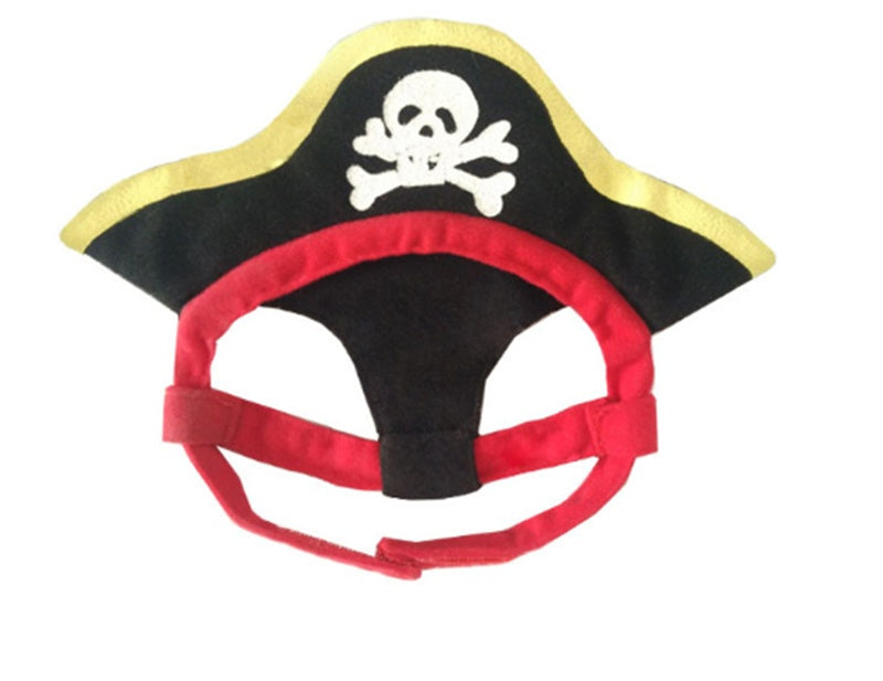 Teddy Pirate Transformed Into Pet Costume 1616308692565 daa5b0c2 e3d3 444b a577 f19f9bf22a59