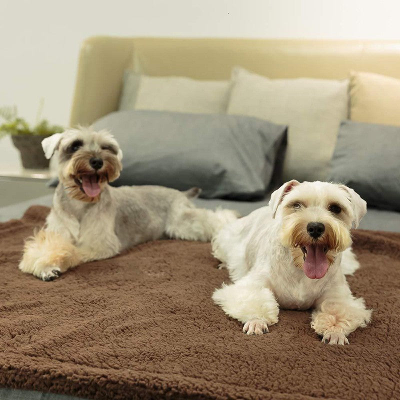 Plush Pet Blanket Dog Mat Cat Mat Pet Air Conditioning Mat Pet Plush Mat 1616378795304