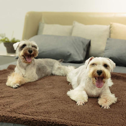 Plush Pet Blanket Dog Mat Cat Mat Pet Air Conditioning Mat Pet Plush Mat 1616378795304