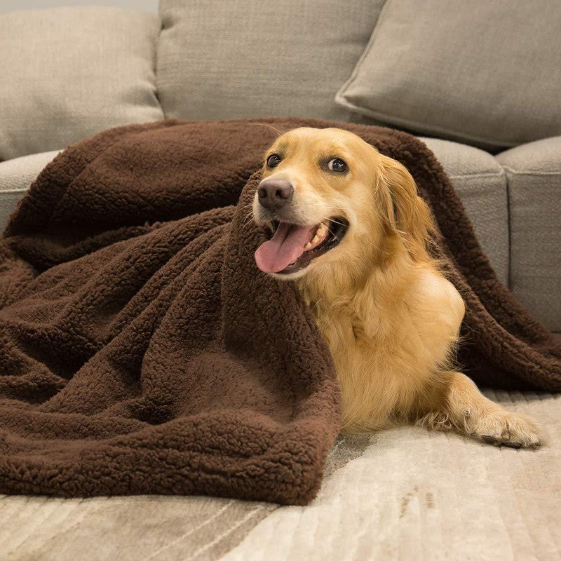 Plush Pet Blanket Dog Mat Cat Mat Pet Air Conditioning Mat Pet Plush Mat 1616378795316