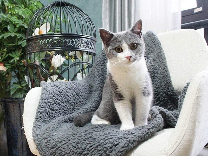 Plush Pet Blanket Dog Mat Cat Mat Pet Air Conditioning Mat Pet Plush Mat 1616378795593