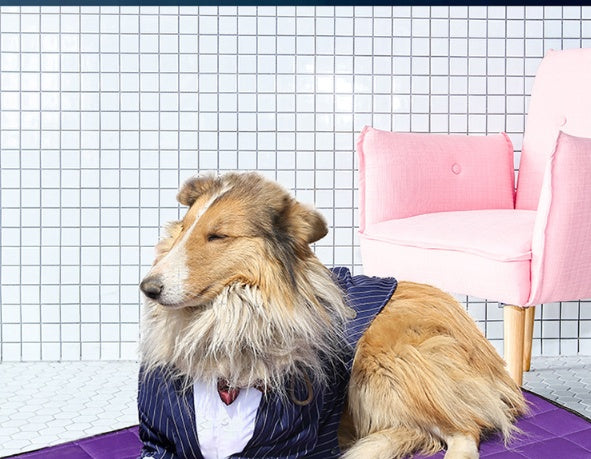 Large Dog Clothing Large Dog Stripe Bow Tie Suit Golden Retriever 1616499247092