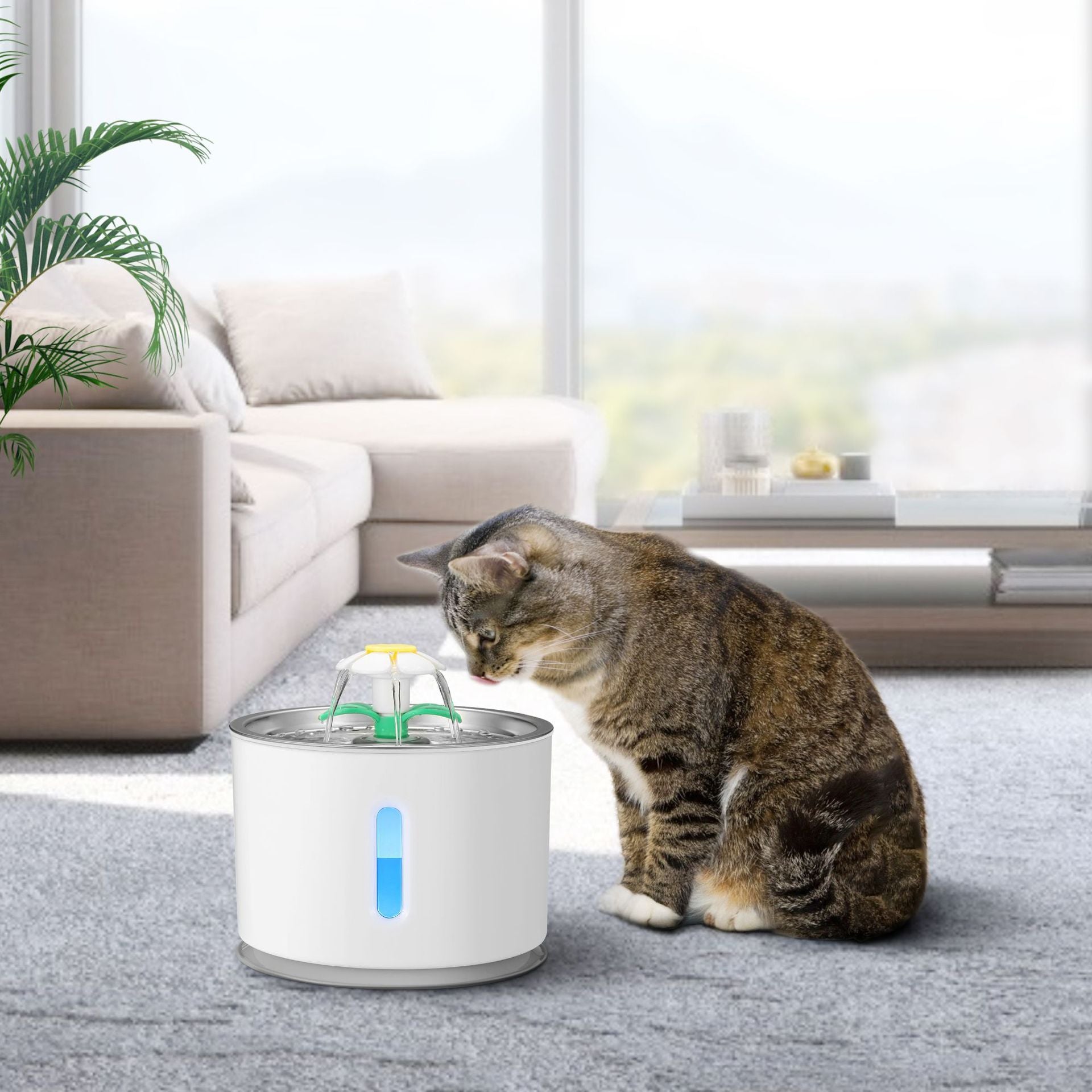 Stainless Steel Pet Water Dispenser For Cats And Dogs 1616983749915