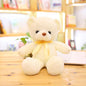 Little Bear Doll Teddy Bear Plush Toy Grab Machine Doll Small Cute Hug Bear Doll Custom Logo 1618292393383