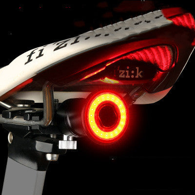Bicycle Smart Brake Tail Light 1618969314134