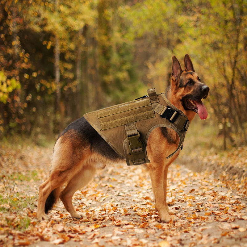 Outdoor Tactical Dog Vest For Large Dogs 1618981899388