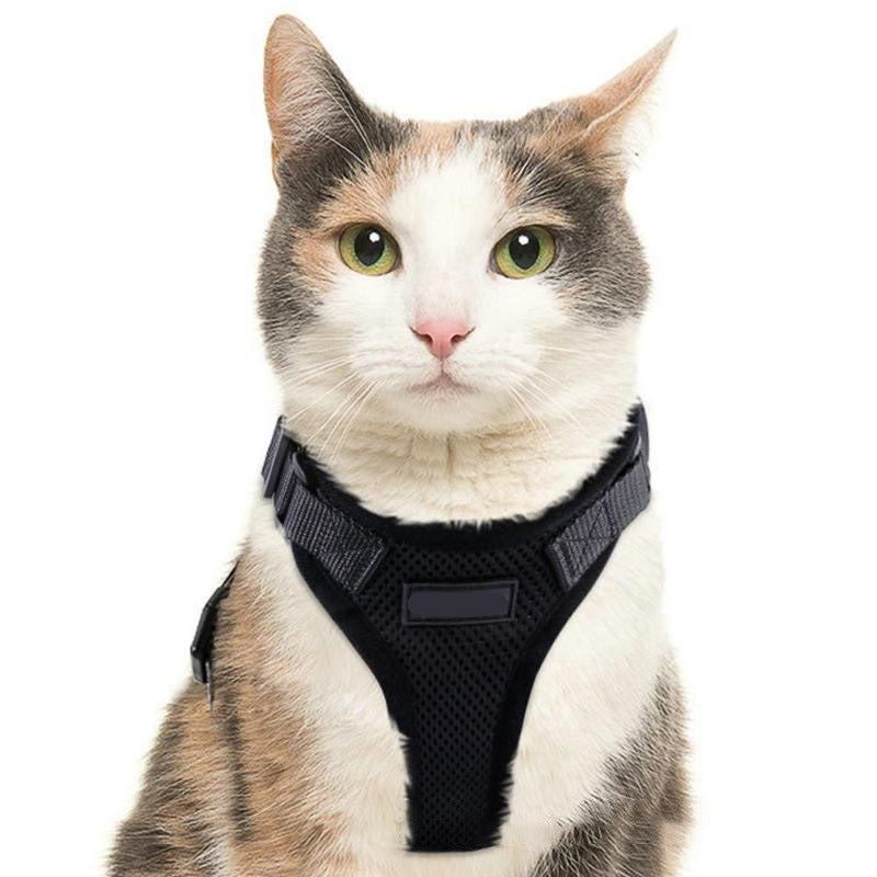 PawProwl-Walking Cat Harness 1619336375887