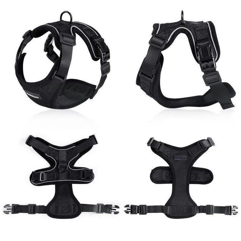 PawProwl-Walking Cat Harness 1619336385448