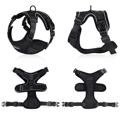 PawProwl-Walking Cat Harness 1619336385448