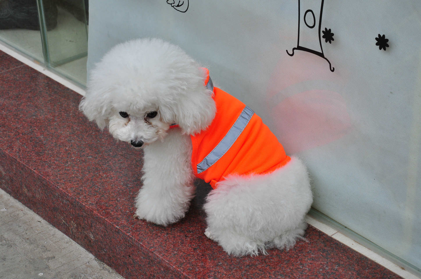 Summer Pet Clothing Dog Reflective Clothing Work Dog Safety Clothing 1619409608251