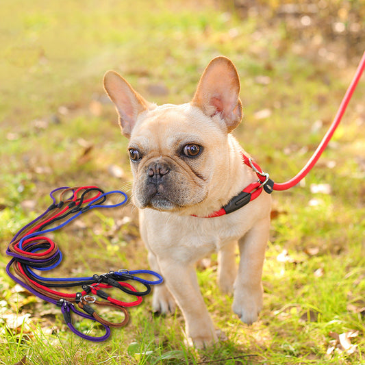 Dog leash dog leash pet leash 1619871572076