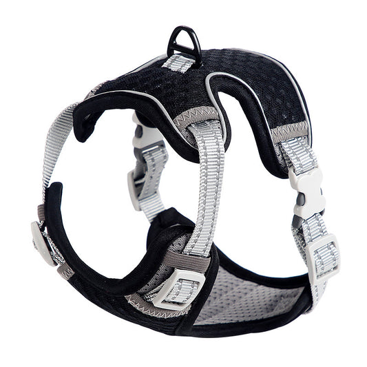 Going Out For A Cat Walk, Pet Cat Chest Strap 1620292967888