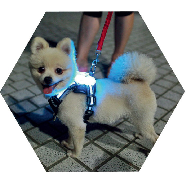 Led Pet Dog Luminous Collar Usb Rechargeable Silicone Collar Luminous Dog Neck Teddy Golden Retriever Large, Medium And Small