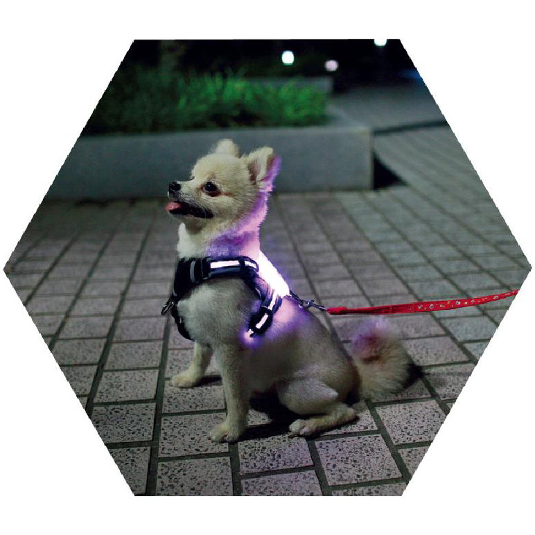 Led Pet Dog Luminous Collar Usb Rechargeable Silicone Collar Luminous Dog Neck Teddy Golden Retriever Large, Medium And Small
