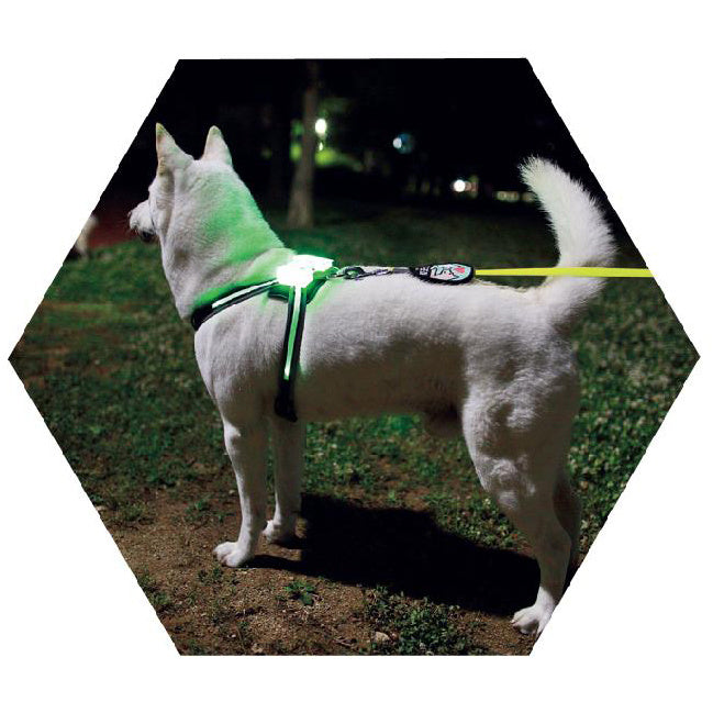 Led Pet Dog Luminous Collar Usb Rechargeable Silicone Collar Luminous Dog Neck Teddy Golden Retriever Large, Medium And Small