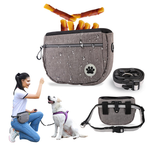 Pet Snack Bag For Walking, Walking The Dog Artifact, Outing Dog Training Snack Bag 1620737463208