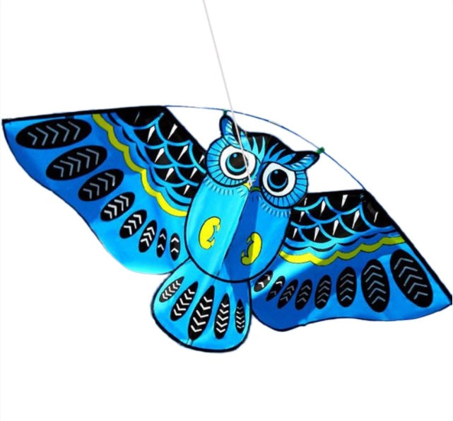 Owl Kite Cartoon Children's Kite Crafts Outdoor Flying 1620889244986