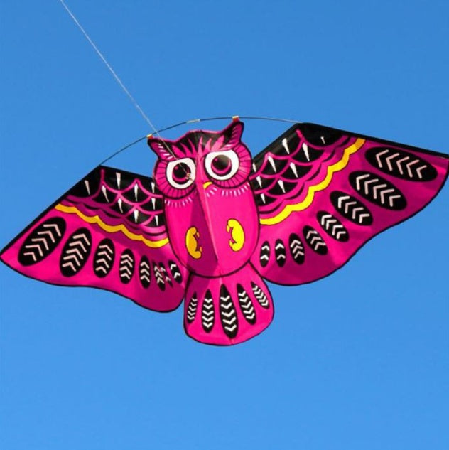 Owl Kite Cartoon Children's Kite Crafts Outdoor Flying 1620889244987
