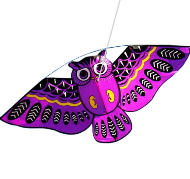 Owl Kite Cartoon Children's Kite Crafts Outdoor Flying 1620889244988
