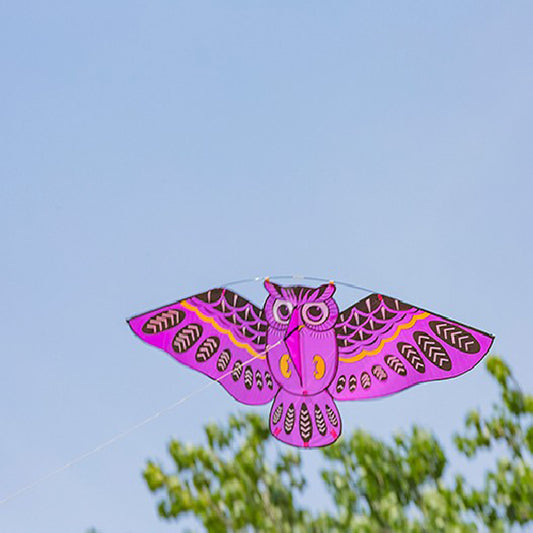 Owl Kite Cartoon Children's Kite Crafts Outdoor Flying 1620889255982
