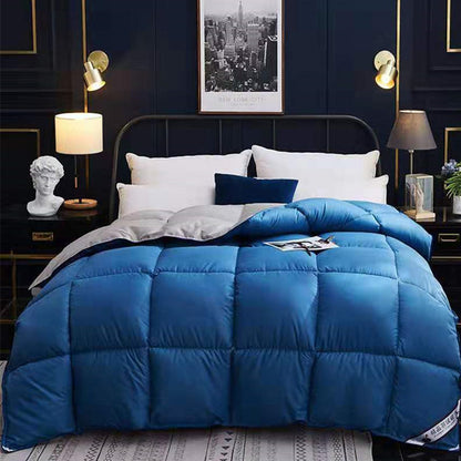 Down Duvet, Winter Duvet, Goose Down Duvet Core, Air Conditioner 1620980981988