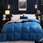 Down Duvet, Winter Duvet, Goose Down Duvet Core, Air Conditioner 1620980981988