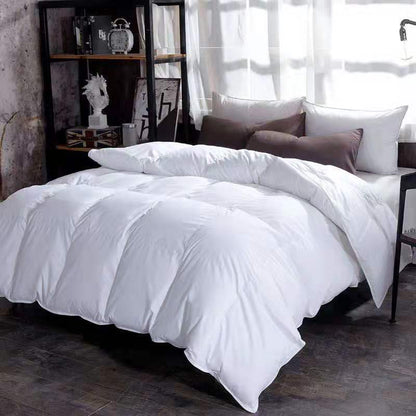 Down Duvet, Winter Duvet, Goose Down Duvet Core, Air Conditioner 1620980981993 6f88f4eb 1f6d 4b80 a78e e9b2304876f5