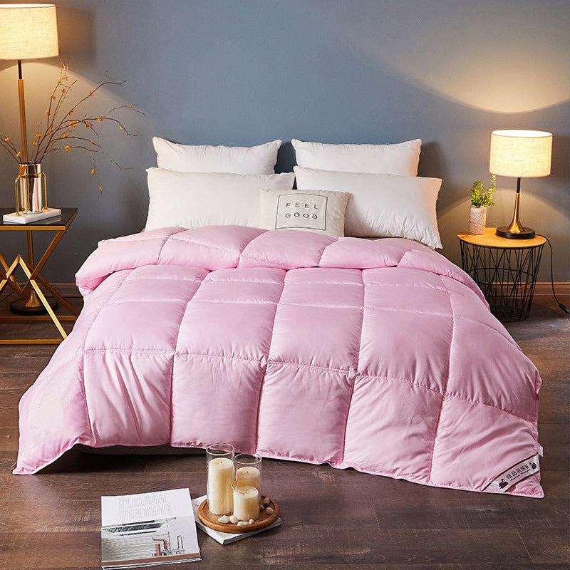 Down Duvet, Winter Duvet, Goose Down Duvet Core, Air Conditioner 1620980981994