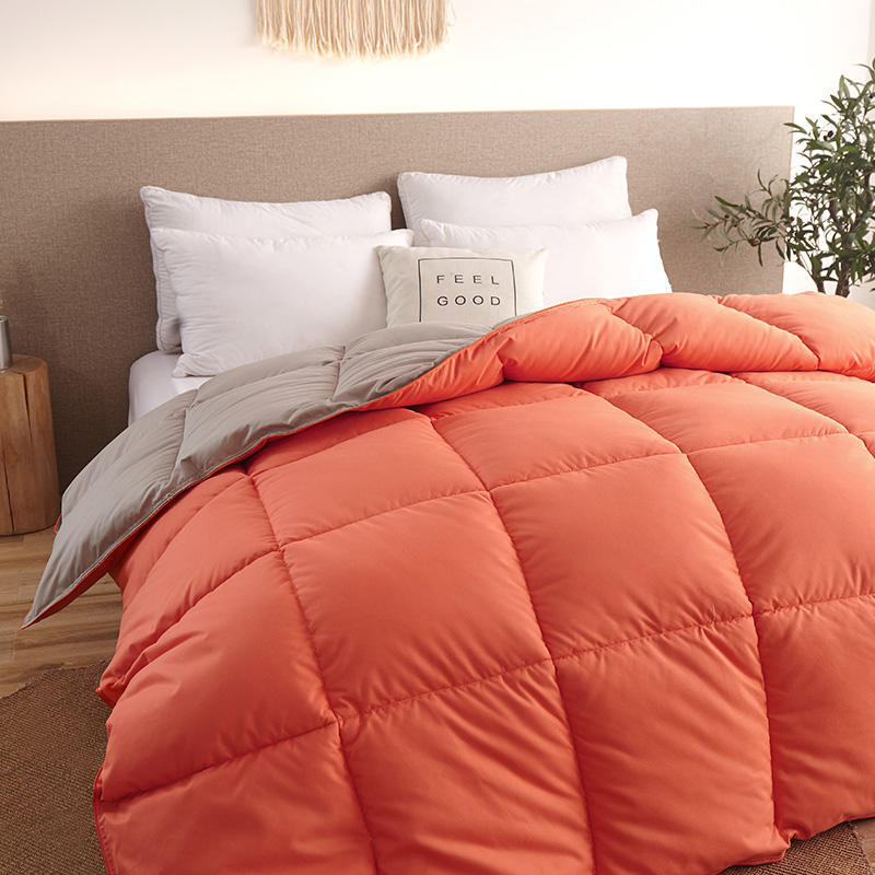 Down Duvet, Winter Duvet, Goose Down Duvet Core, Air Conditioner 1620980981996