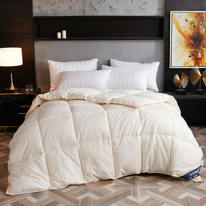 Down Duvet, Winter Duvet, Goose Down Duvet Core, Air Conditioner 1620980981997