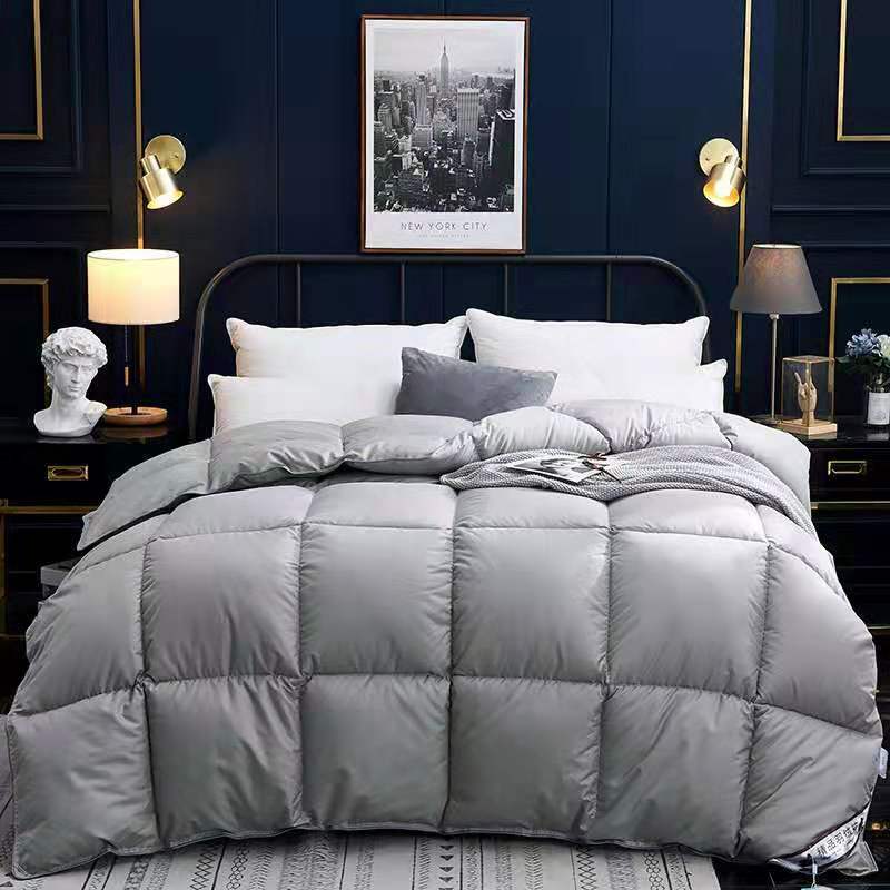 Down Duvet, Winter Duvet, Goose Down Duvet Core, Air Conditioner 1620980982282